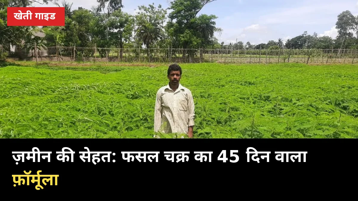 लगातार गन्ने से थकी ज़मीन? फसल चक्र से 45 दिन में पाएं मुफ्त नाइट्रोजन