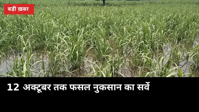 DM खुद खेत में उतरेंगे: 12 अक्टूबर तक फसल नुकसान का सर्वे, लेखपाल रिपोर्ट अब काफी नहीं