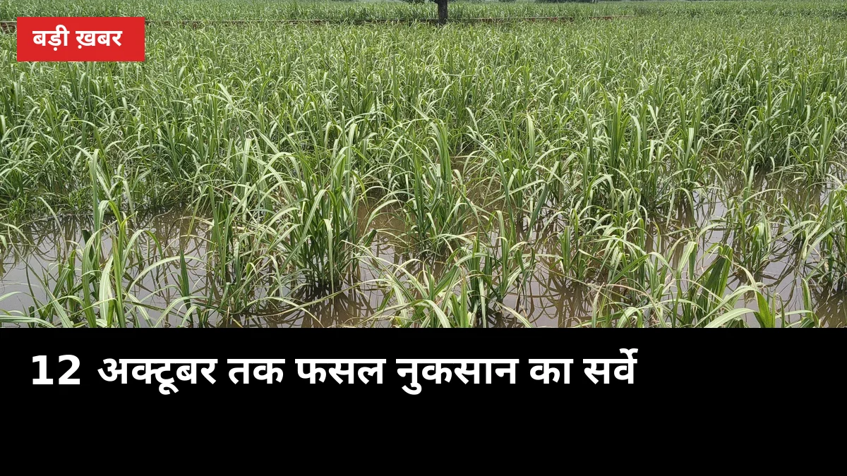 DM खुद खेत में उतरेंगे: 12 अक्टूबर तक फसल नुकसान का सर्वे, लेखपाल रिपोर्ट अब काफी नहीं