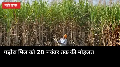 गड़ौरा चीनी मिल को 20 नवंबर तक की मोहलत: 1.80 करोड़ न दिए तो कुर्की होगी