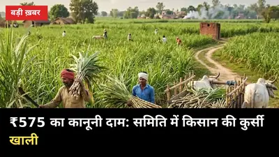 ₹365 मिलता है, ₹575 की मांग: गन्ने का कानूनी दाम अब दिल्ली में तय होगा
