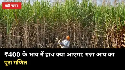 ₹400 के भाव में हाथ क्या आएगा: पेराई से पहले गन्ना आय का पूरा गणित