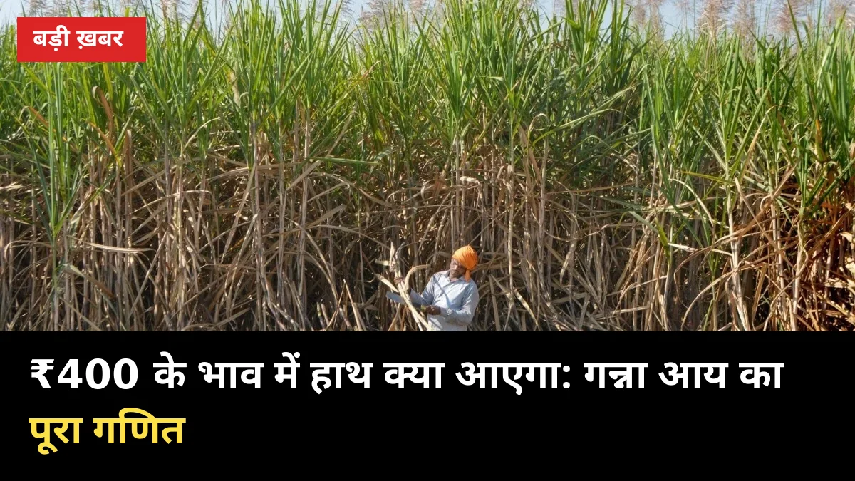 ₹400 के भाव में हाथ क्या आएगा: पेराई से पहले गन्ना आय का पूरा गणित