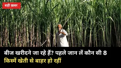 बीज खरीदने जा रहे हैं? पहले जान लें कौन सी 8 किस्में खेती से बाहर हो रहीं