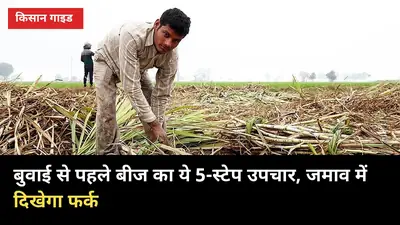 बुवाई से पहले बीज का ये 5-स्टेप उपचार, जमाव में दिखेगा फर्क