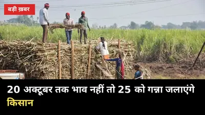 मिलें 20 अक्टूबर से चालू, भाव की घोषणा नहीं — किसान बोले: 25 को गन्ना जलाएंगे