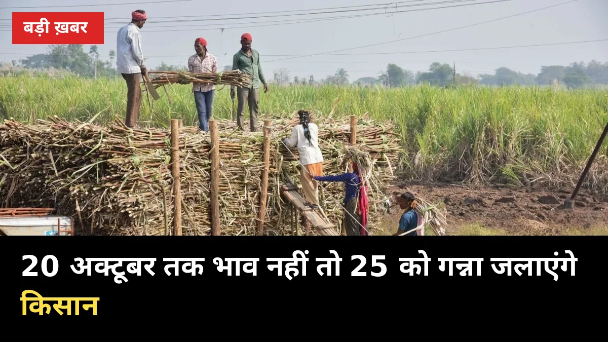 मिलें 20 अक्टूबर से चालू, भाव की घोषणा नहीं — किसान बोले: 25 को गन्ना जलाएंगे