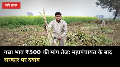 गन्ना भाव ₹500 की मांग तेज: महापंचायत के बाद सरकार पर दबाव, पेराई 15 अक्टूबर से