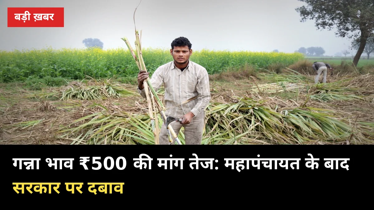गन्ना भाव ₹500 की मांग तेज: महापंचायत के बाद सरकार पर दबाव, पेराई 15 अक्टूबर से