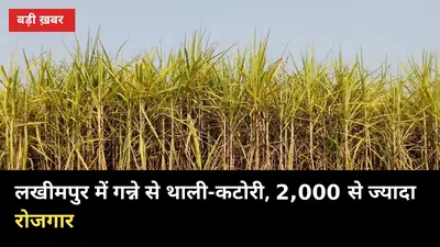 गन्ने से थाली-कटोरी: लखीमपुर का ₹3,080 करोड़ प्लांट अक्टूबर में, 2,000 से ज्यादा रोजगार