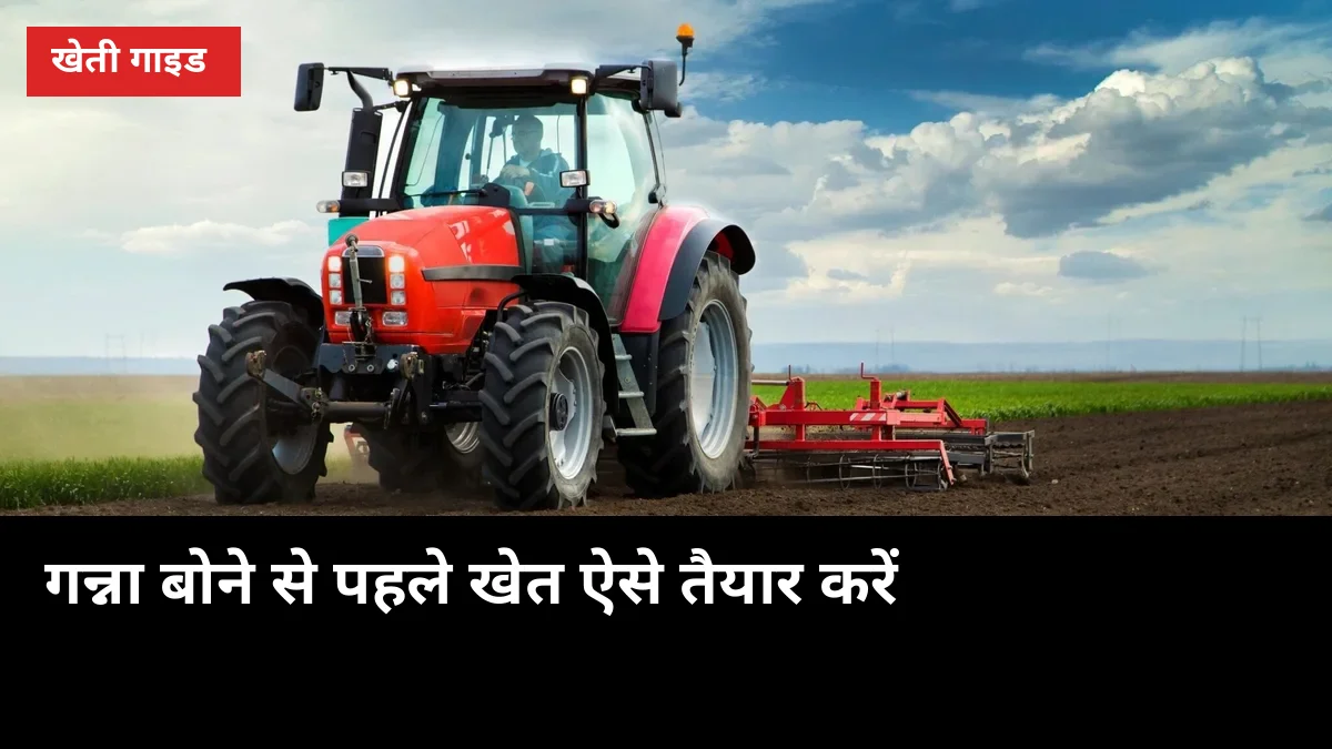 गन्ना बोने से पहले खेत ऐसे तैयार करें, मिट्टी बोलेगी पैदावार से