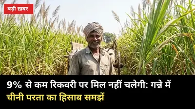 9% से कम रिकवरी पर मिल नहीं चलेगी: गन्ने में चीनी परता का हिसाब समझें