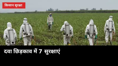 दवा छिड़कते वक्त 1 गलती जान पर भारी: 7 सुरक्षाएं जो हर गन्ना किसान करे
