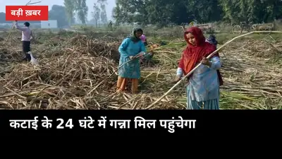 कटाई के 24 घंटे में गन्ना मिल पहुंचेगा, अब ट्रकों पर GPS से रहेगी लाइव नजर
