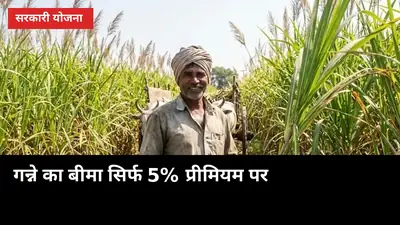 गन्ने का बीमा सिर्फ 5% प्रीमियम पर: 72 घंटे में क्लेम का पूरा तरीका
