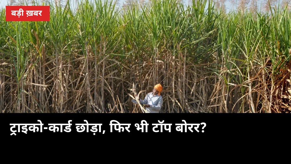 ट्राइको-कार्ड छोड़ा, फिर भी टॉप बोरर? 6 गलतियां और जैविक कीट-रोक का सही कैलेंडर