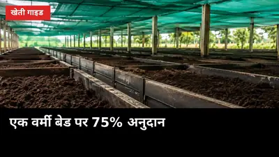 एक वर्मी बेड पर 75% अनुदान: गन्ने के खेत में केंचुआ खाद यूनिट का पूरा हिसाब