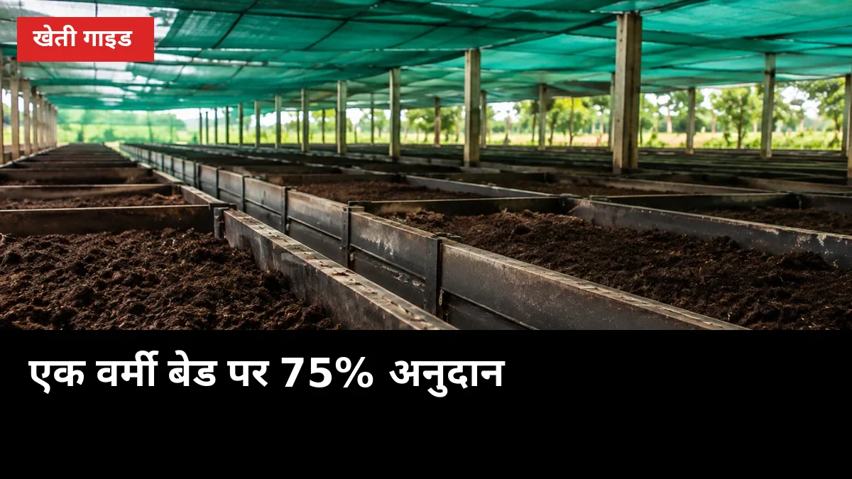 एक वर्मी बेड पर 75% अनुदान: गन्ने के खेत में केंचुआ खाद यूनिट का पूरा हिसाब