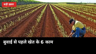गन्ना बुवाई से पहले खेत के 6 काम: ट्रेंच की 30 सेमी नाली से पूरी तैयारी