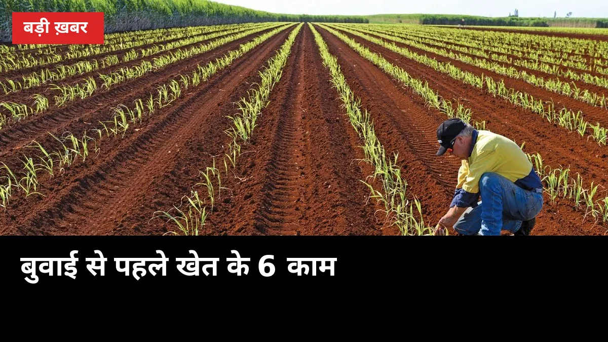 गन्ना बुवाई से पहले खेत के 6 काम: ट्रेंच की 30 सेमी नाली से पूरी तैयारी