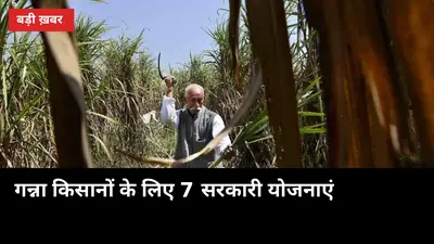 6 लाख सस्ता लोन, 90% सब्सिडी वाला पंप: गन्ना किसानों के लिए ये 7 सरकारी योजनाएं