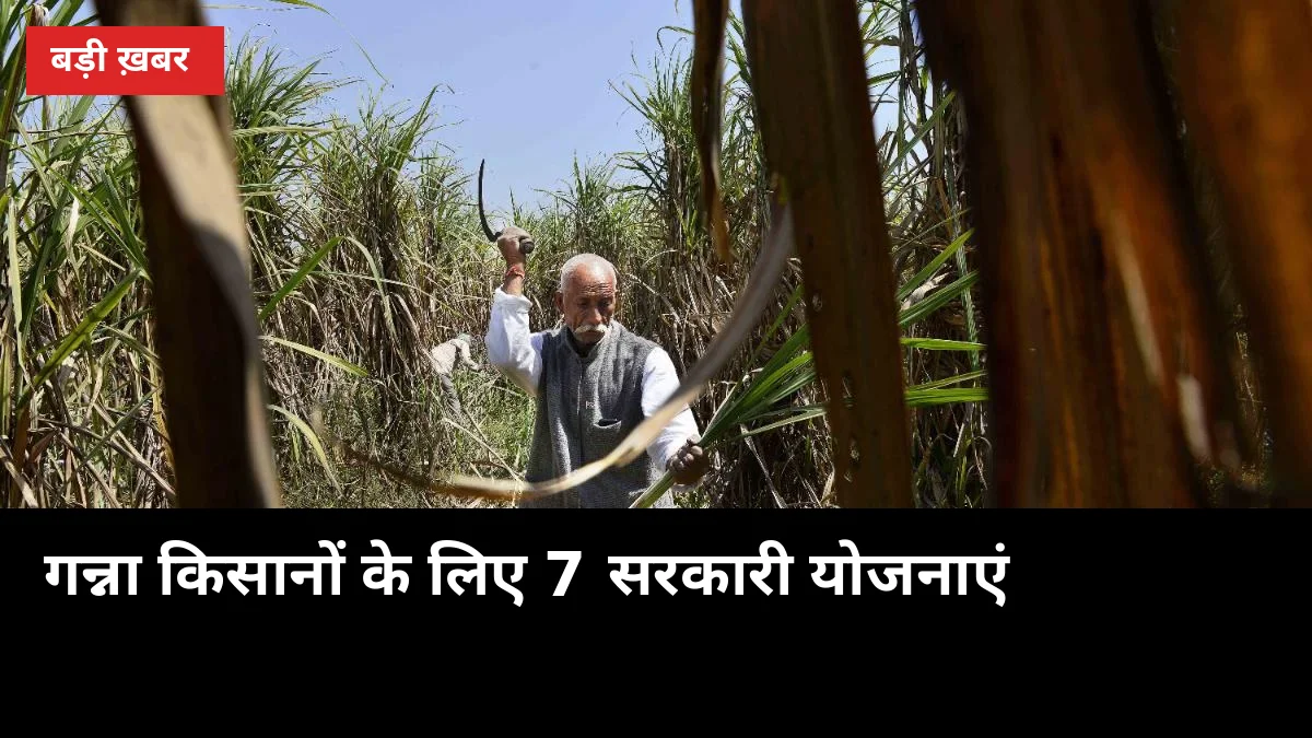6 लाख सस्ता लोन, 90% सब्सिडी वाला पंप: गन्ना किसानों के लिए ये 7 सरकारी योजनाएं