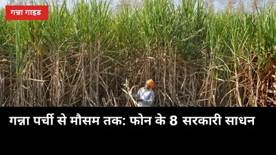 गन्ना पर्ची से मौसम तक: फोन के 8 सरकारी साधन, खेत के चक्कर बचाएं
