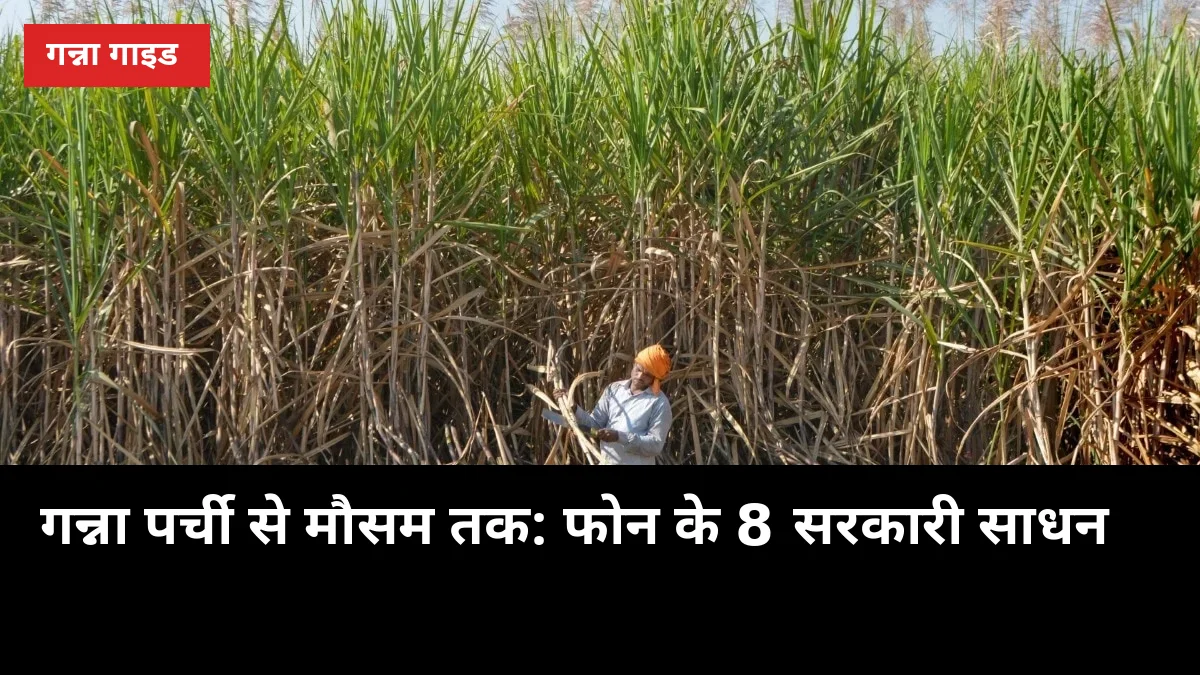 गन्ना पर्ची से मौसम तक: फोन के 8 सरकारी साधन, खेत के चक्कर बचाएं