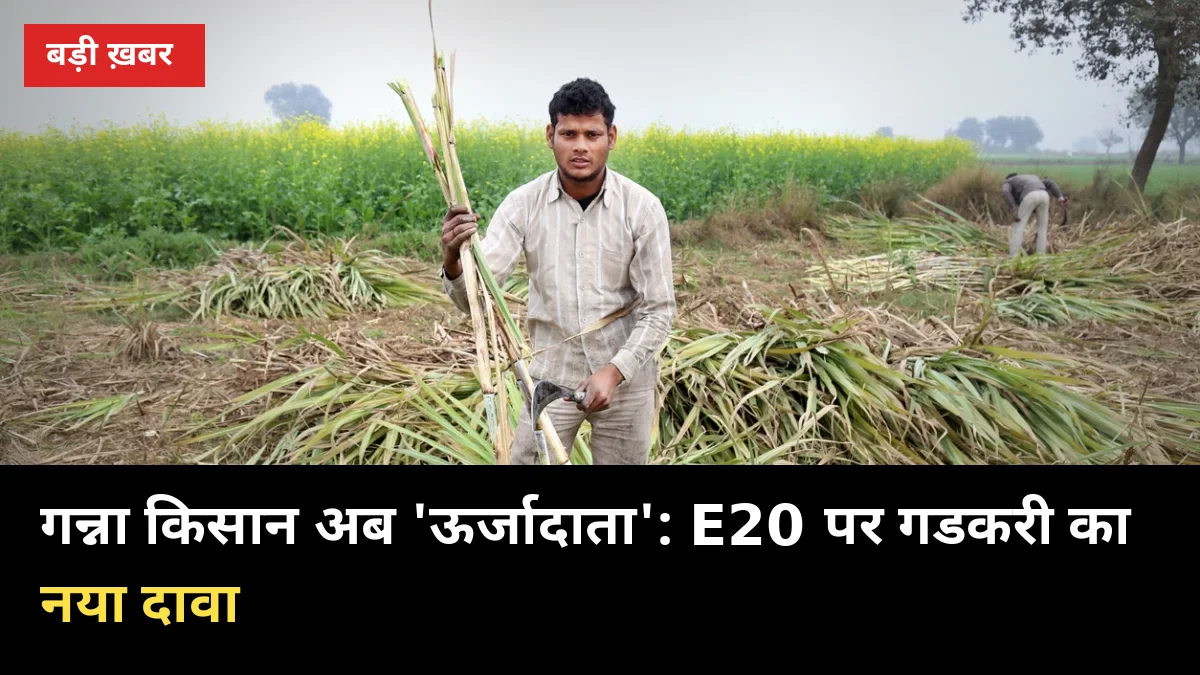 गन्ना किसान अब 'ऊर्जादाता': E20 पर गडकरी का नया दावा, माइलेज बढ़ने की रिपोर्ट