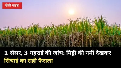 1 सेंसर, 3 गहराई की जांच: मिट्टी की नमी देखकर सिंचाई का सही फैसला