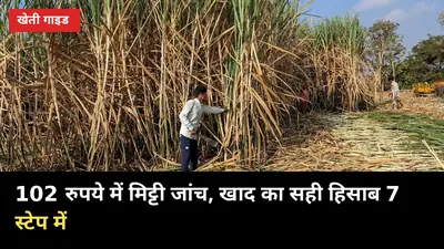 102 रुपये में मिट्टी जांच: गन्ने में खाद का सही हिसाब, 7 स्टेप में