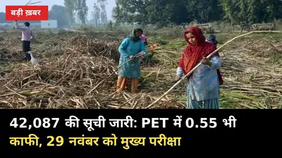 PET में 0.55 नंबर भी काफी: गन्ना पर्यवेक्षक 42,087 की सूची जारी, 29 नवंबर को मुख्य परीक्षा