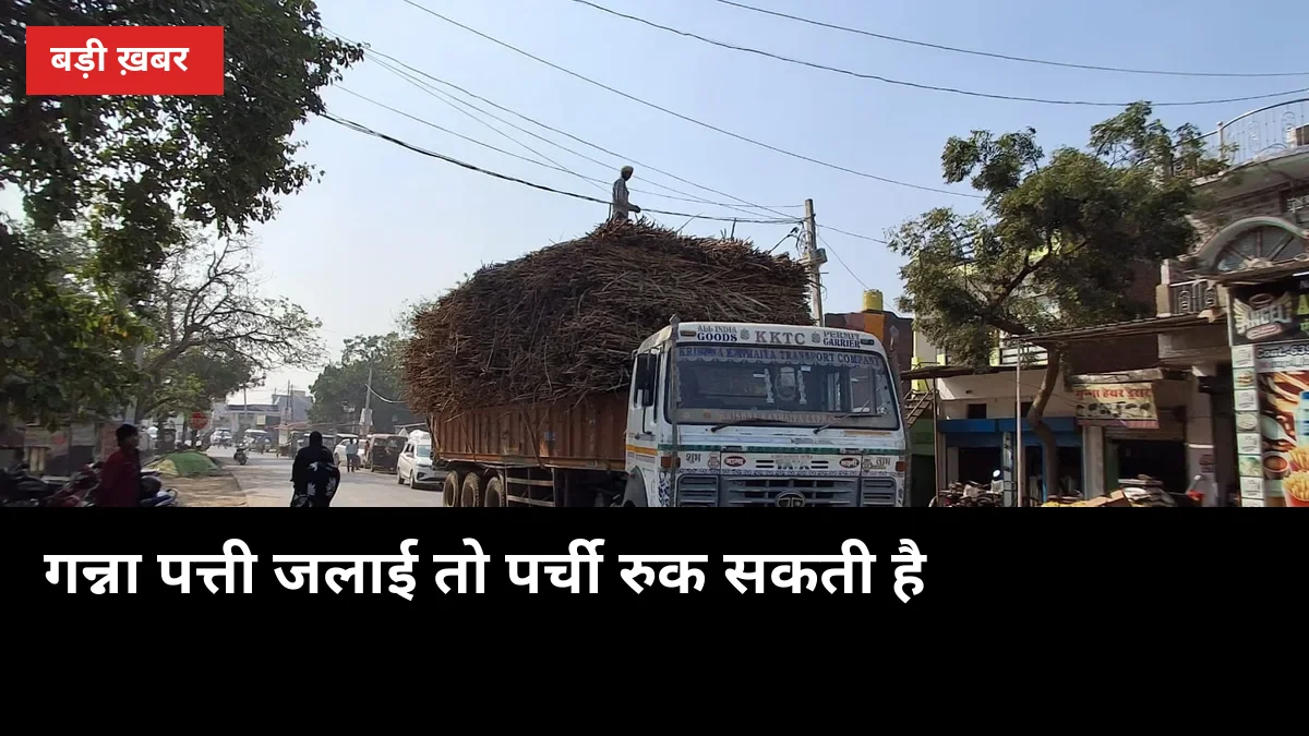 गन्ना पत्ती जलाई तो पर्ची रुक सकती है: पर्ची अटके तो ये 5 काम तुरंत करें