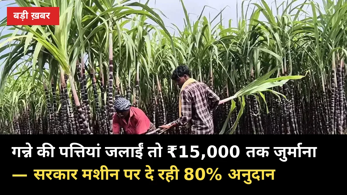 गन्ने की पत्तियां जलाईं तो ₹15,000 तक जुर्माना — सरकार मशीन पर दे रही 80% अनुदान
