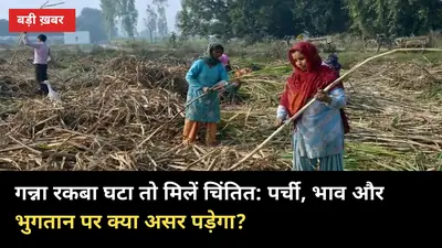 गन्ना रकबा घटा तो मिलें चिंतित: पर्ची, भाव और भुगतान पर क्या असर पड़ेगा?