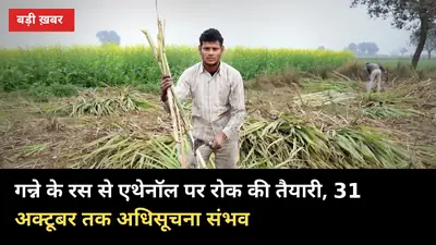गन्ने के रस से एथेनॉल पर रोक की तैयारी, 31 अक्टूबर तक अधिसूचना संभव