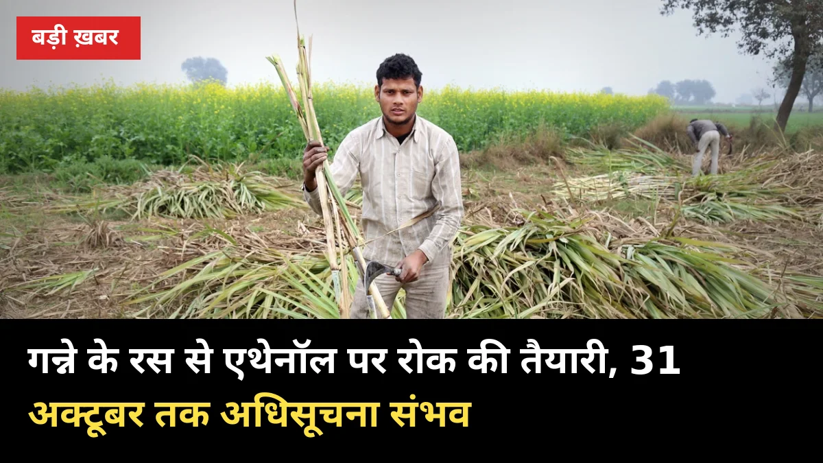 गन्ने के रस से एथेनॉल पर रोक की तैयारी, 31 अक्टूबर तक अधिसूचना संभव