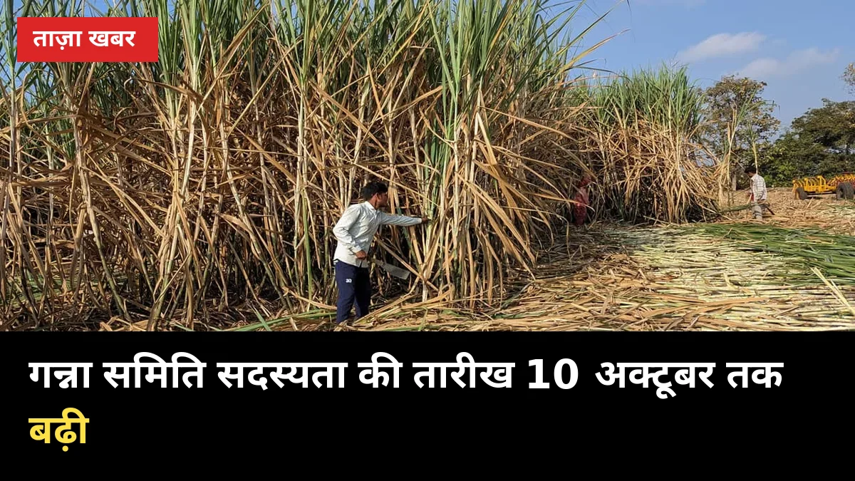 गन्ना समिति सदस्यता की तारीख 10 अक्टूबर तक बढ़ी