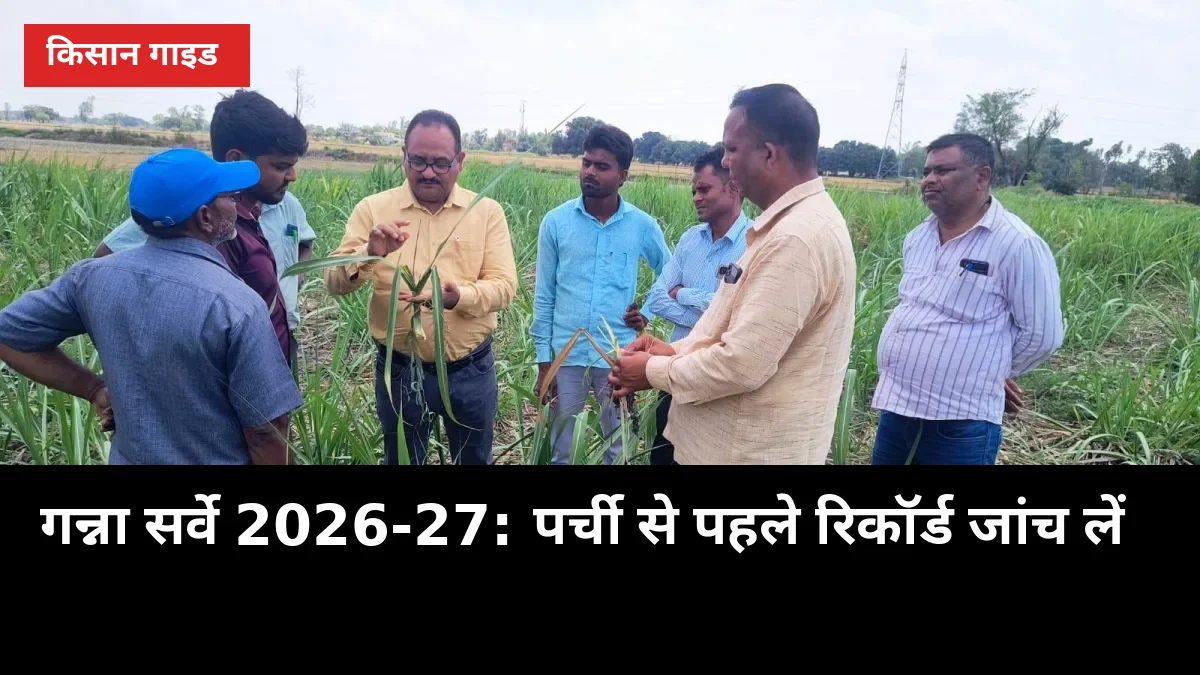 गन्ना सर्वे में एक गलती, पर्ची-पैसा दोनों अटका: 2026-27 का रिकॉर्ड ऐसे जांचें