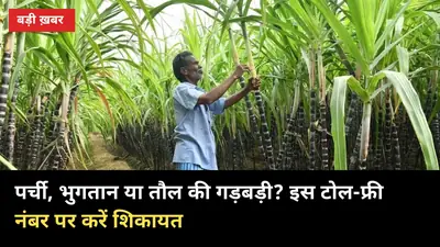 पर्ची, भुगतान या तौल की गड़बड़ी: इस 1 टोल-फ्री नंबर पर करें शिकायत, 24x7 मुफ्त सेवा
