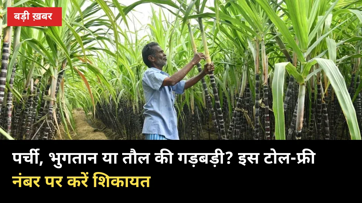 पर्ची, भुगतान या तौल की गड़बड़ी: इस 1 टोल-फ्री नंबर पर करें शिकायत, 24x7 मुफ्त सेवा