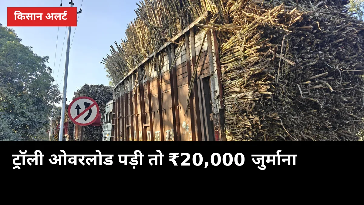 गन्ना ट्रॉली में एक टन ज़्यादा लोड पड़ा तो ₹20,000 जुर्माना, जानें बचने के 5 नियम
