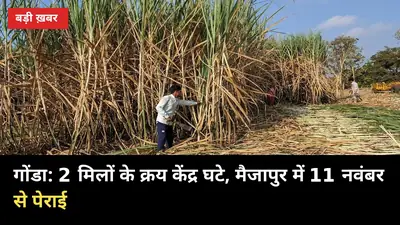 गोंडा: 2 मिलों के क्रय केंद्र घटे, मैजापुर में 11 नवंबर से पेराई शुरू