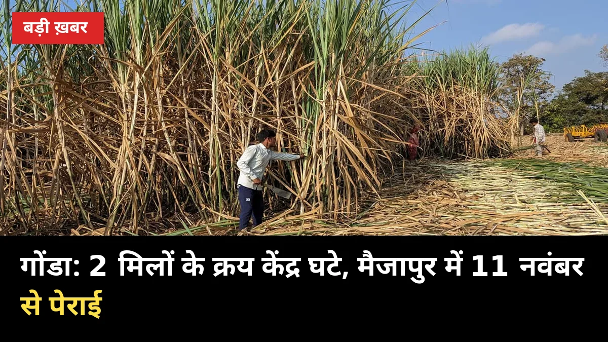 गोंडा: 2 मिलों के क्रय केंद्र घटे, मैजापुर में 11 नवंबर से पेराई शुरू