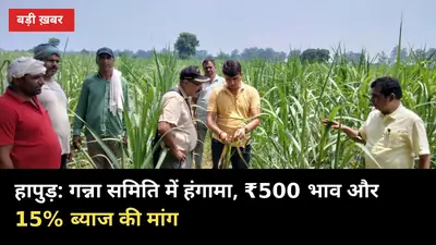 हापुड़ गन्ना समिति में हंगामा, लौटे चेयरमैन: ₹500 भाव और डिफाल्टर मिलों पर 15% ब्याज