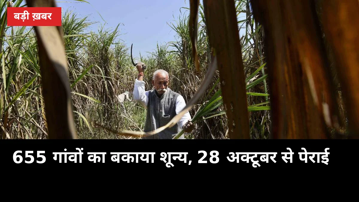 655 गांवों का बकाया शून्य: हरदोई की 4 मिलों ने भुगतान निपटाया, 28 अक्टूबर से पेराई