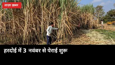 हरदोई में 3 नवंबर से घूमेगा मिलों का पहिया: 1,09,032 हेक्टेयर गन्ने की पेराई शुरू