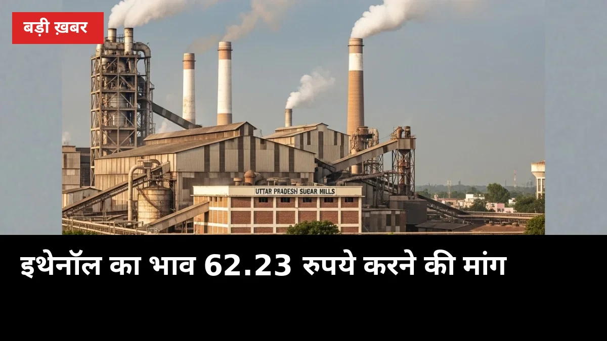 ₹62.23 की मांग: मिलों के शीरे का भाव बढ़ा तो गन्ना भुगतान तेज होगा?