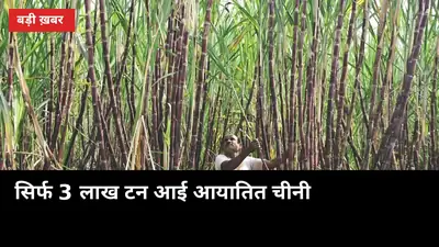 सिर्फ 3 लाख टन आई आयातित चीनी, तो 31 दिसंबर तक बढ़ी खिड़की: गन्ना किसानों के भुगतान पर असर?