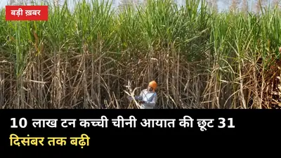 10 लाख टन कच्ची चीनी आयात की छूट 31 दिसंबर तक बढ़ी, गन्ना भाव पर ये असर